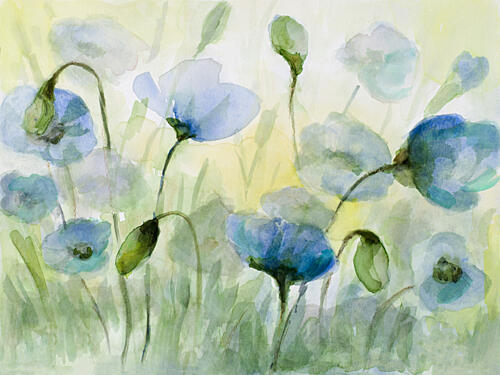 Northern Poppies Art Print