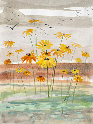 Where the Daisies Grow Art Print