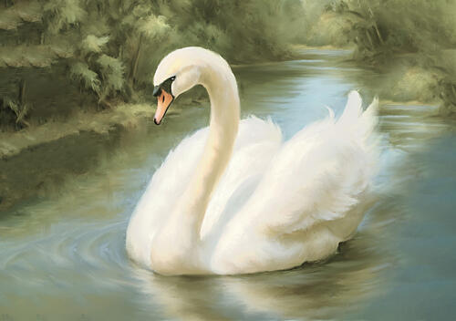 Beautiful Swan Art Print