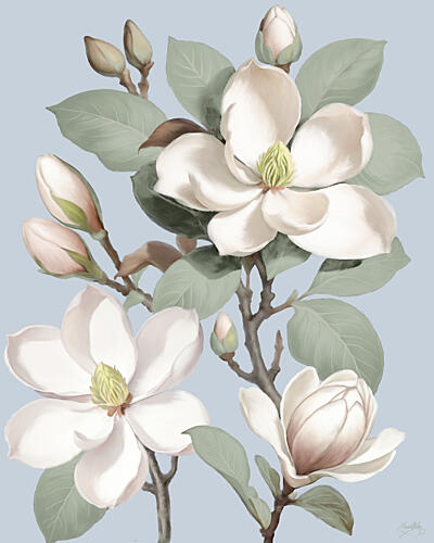 Magnolias on Blue I Art Print