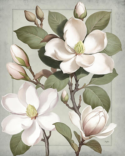 Magnolias I Art Print