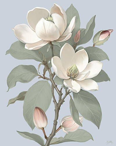 Magnolias on Blue II Art Print