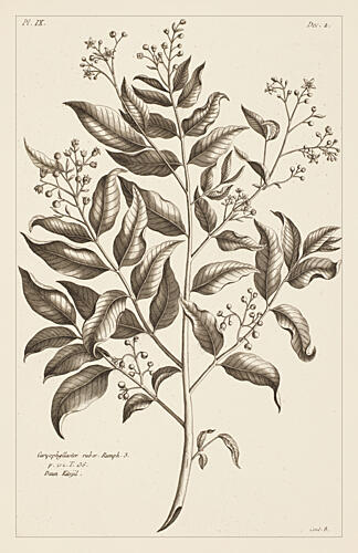 Nostalgic Botanical Leaves I Art Print