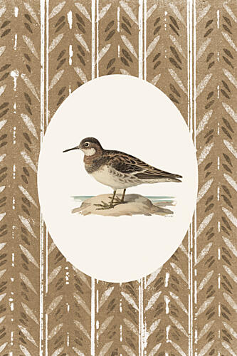 The Sandpiper Art Print