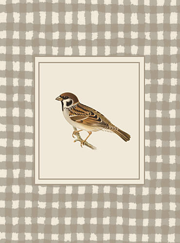 The Sparrow Art Print
