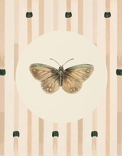 Mariposa Study I Art Print