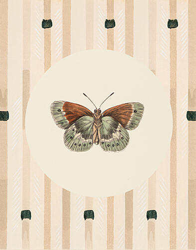 Mariposa Study II Art Print