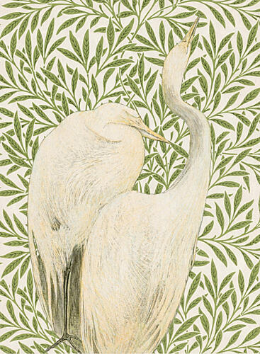 Crane Couple Art Print by V. Larkspar