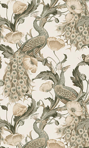 Neutral Peacock Pattern Art Print