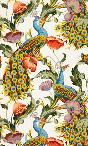 Peacock Pattern Art Print