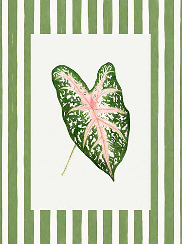 Vintage Palm Leaf IV Art Print