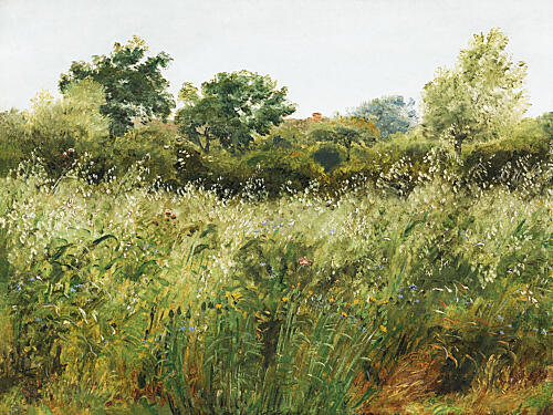 Delicate Field of Wildflowers Art Print by V. Larkspar