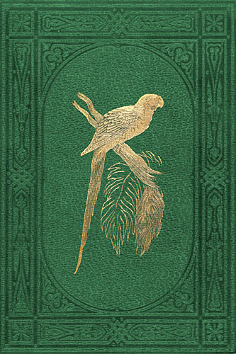 Vintage Parakeet Art Print