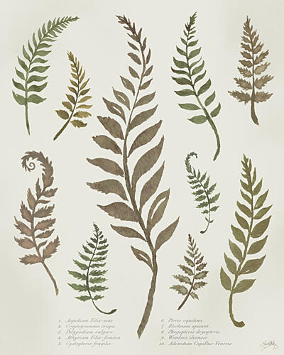 Whispering Stems I Art Print