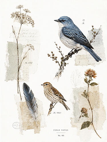 Field Notes 03 Art Print