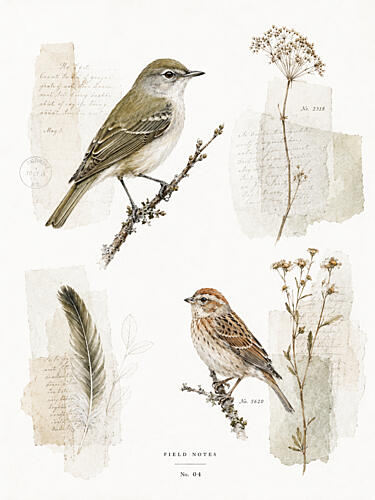 Field Notes 04 Art Print