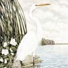 Majestic Great White Egret Art Print