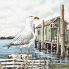 Majestic Seagull Art Print