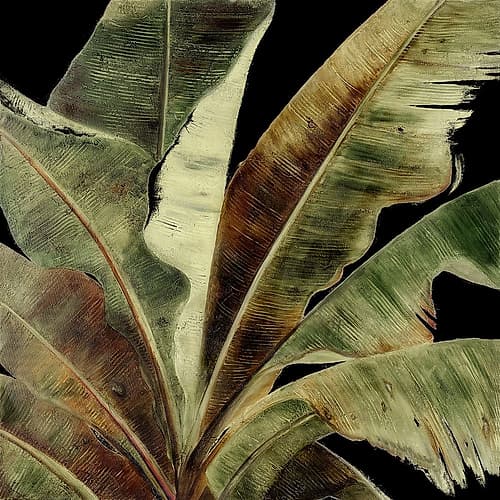 Uraba Palm on Black I Nature Print