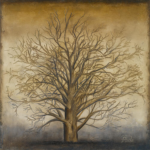 Serenity II Art Print
