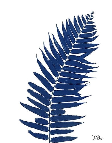 Indigo Ferns I Art Print