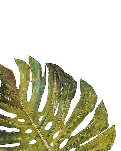 Partial Palm I Tropical Print