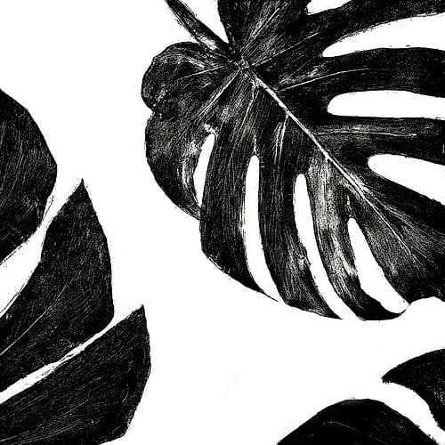 Organic Black Leaf II Nature Print