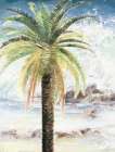 Coastal Palms II Art Print