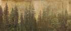 Golden Forest Art Print