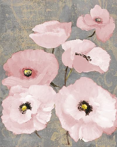 Kindles Blush Poppies II Art Print