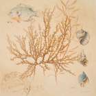 Coral Medley I Art Print
