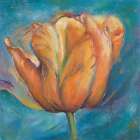 Orange Tulip on Blue Art Print