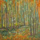 Woods Art Print