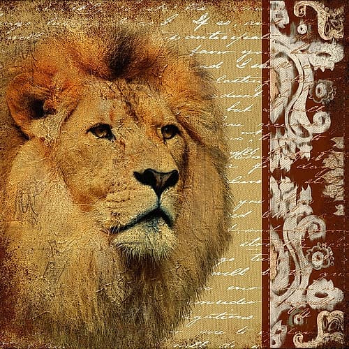 Safari Script I Wildlife Print