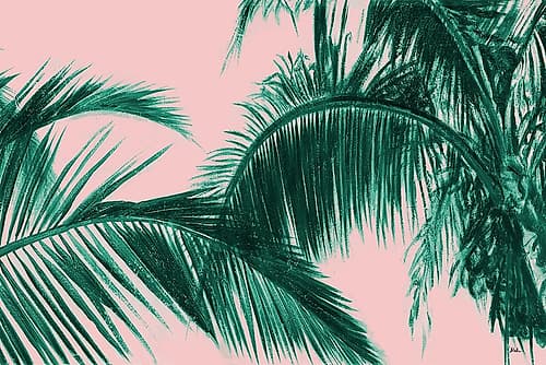 Modern Coconut Palms Tropical Print