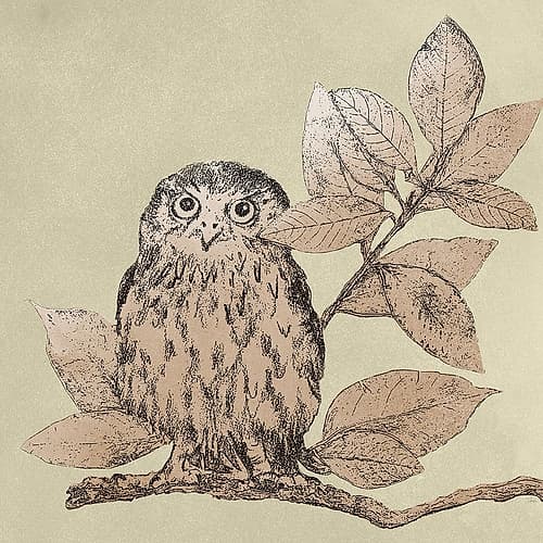 Neutral Little Owls I Art Print