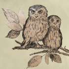 Neutral Little Owls II Art Print