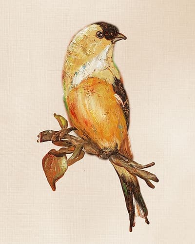 Bird on Perch III Art Print