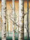 Birch Forest I Art Print