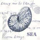 Indigo Ocean Treasures II Art Print