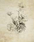 Flower Arrangement Sketch Art Print