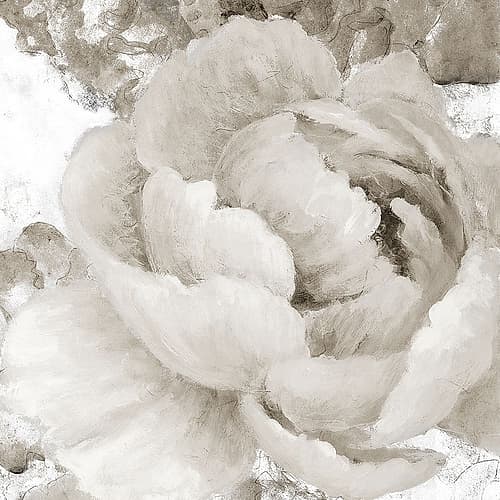 Light Grey Flowers II Art Print