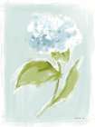 Mystic Summer II Art Print