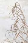 Trace of a Meadow Art Print