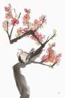 Red Plum Branch I Art Print