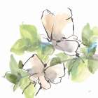 Social Butterflies II Art Print