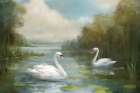 Swans Art Print