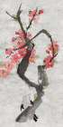 Pink Plum I Art Print