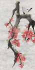 Pink Plum II Art Print