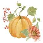 Fall Cottage Garden V Art Print